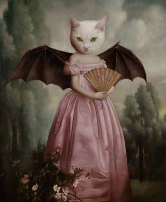 Print by Stephen Mackey - Cat art illustration